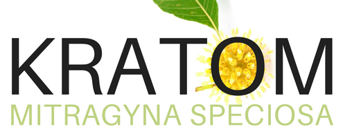 Kratom (Mitragyna speciosa)